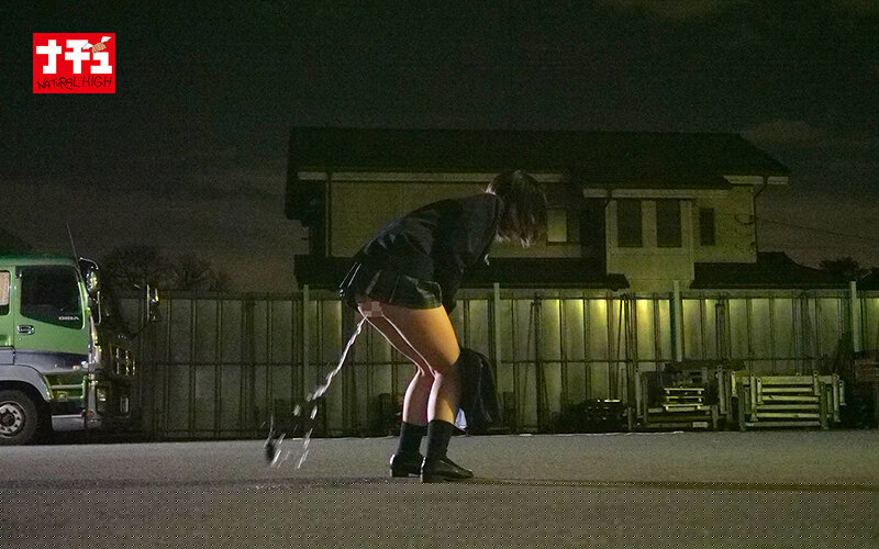 NHDTB-960 一个美丽的屁股女孩，她每天都有一个肛门阴道暨带一个孔的孔射击，可耻2手指入口-视频截图-13