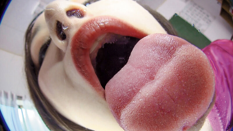 EVIS-450 虚拟肮脏的Berokisu-视频截图-10